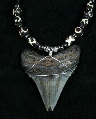 Megalodon Tooth Necklace #8903